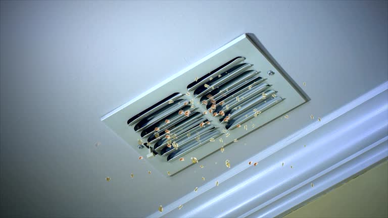 Best Local Air Duct Cleaning Services  in Smithers, WV
